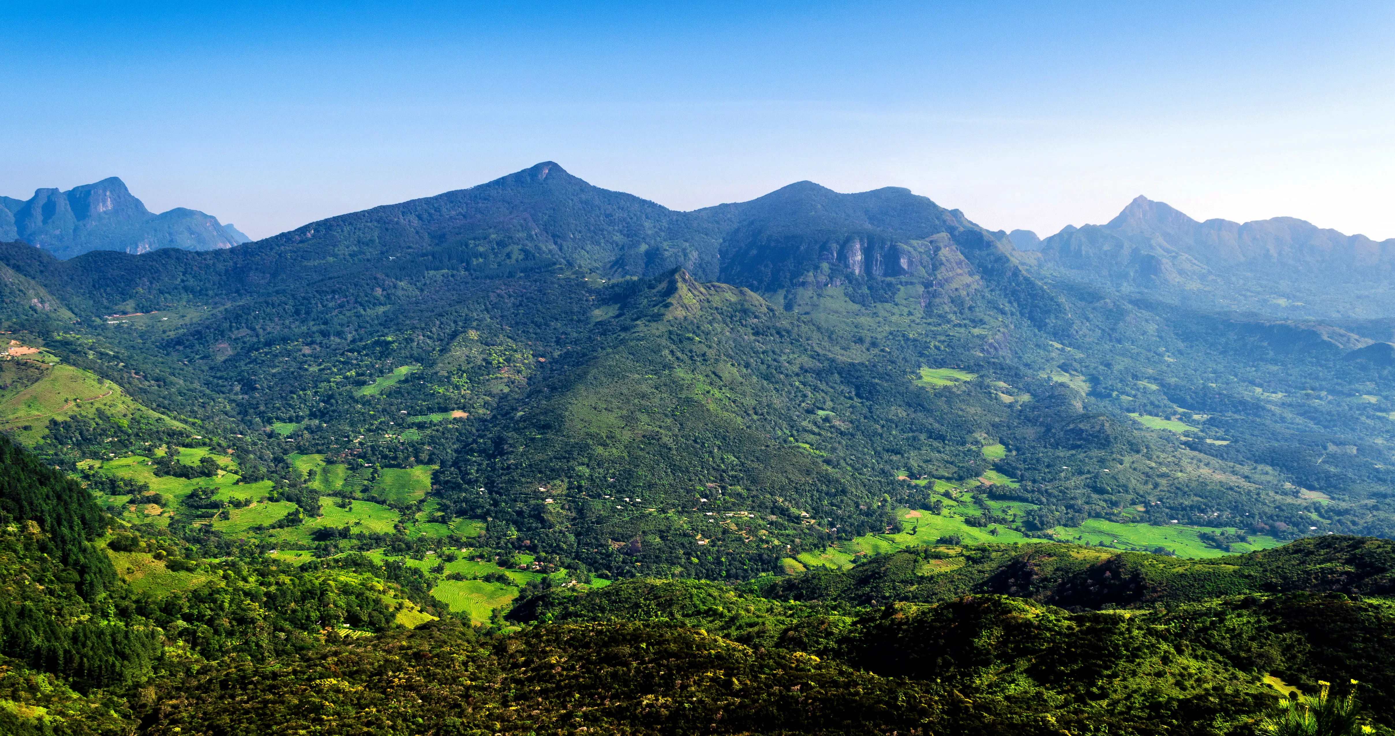Knuckles Mountain Range
