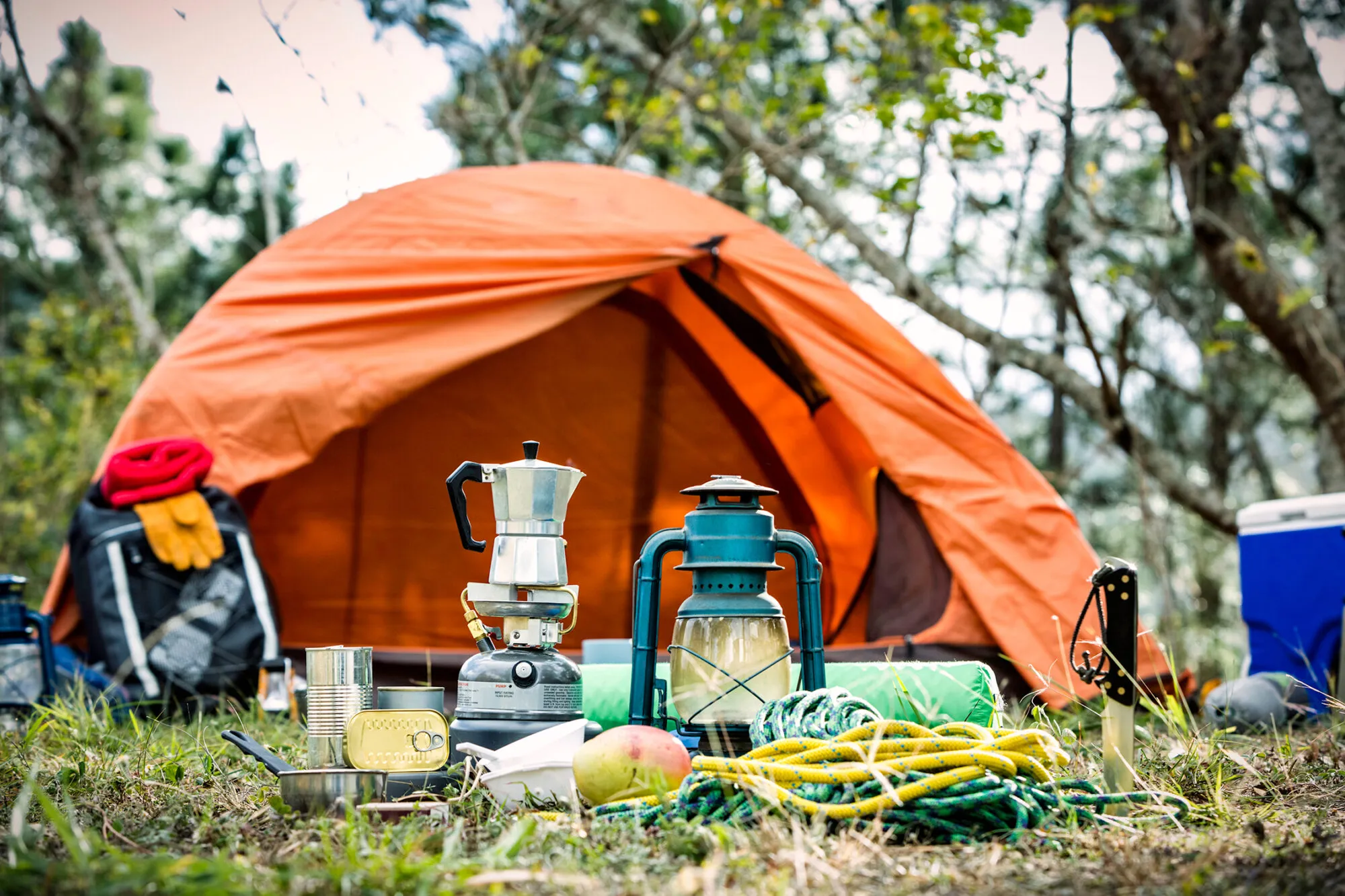 Buy Travel Gear